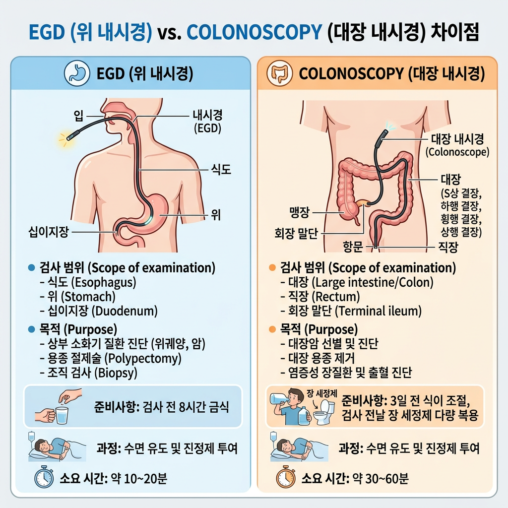 EGD와 Colonoscopy 차이점｜위내시경과 대장내시경, 검사 전후 간호 핵심